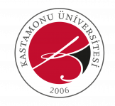 Kastamonu University